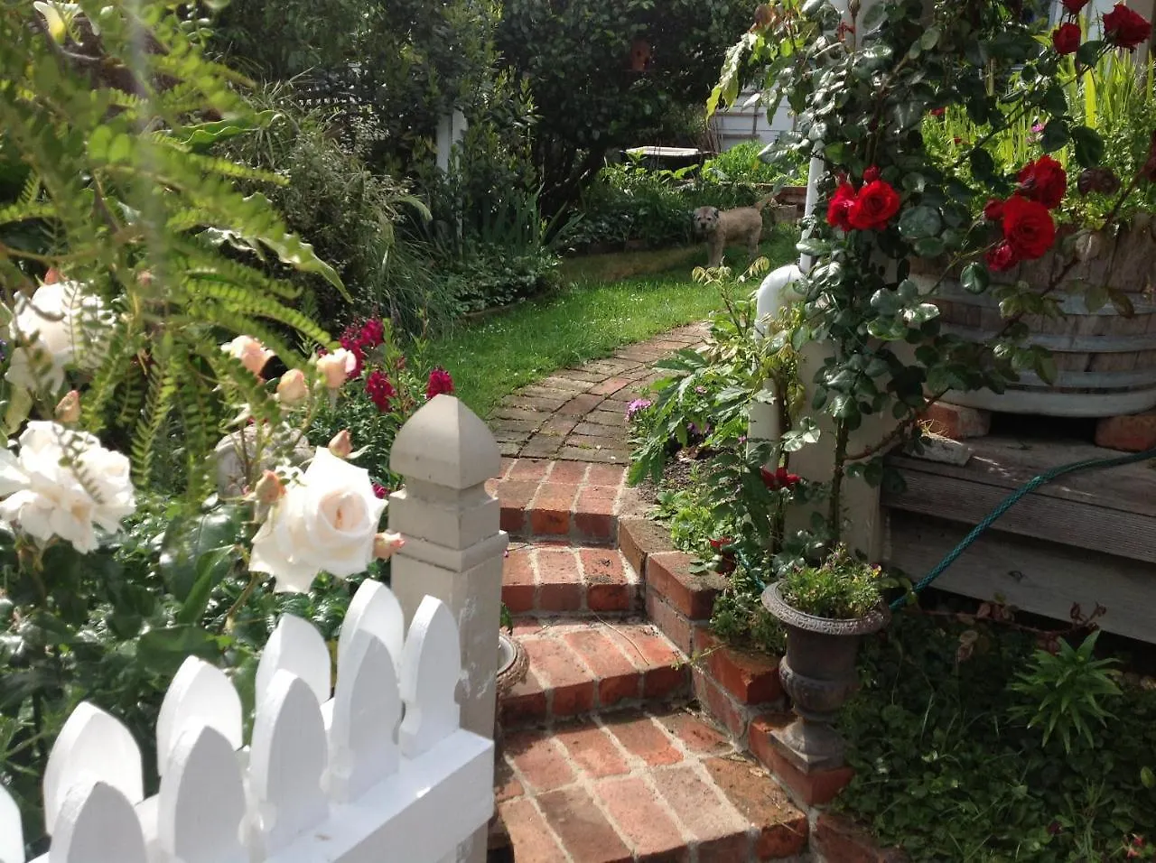 Kippilaw House Bed & Breakfast Picton New Zealand